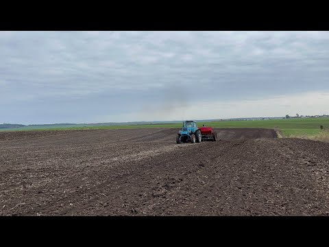 Видео: Посівна не пішла (ячмінь) 