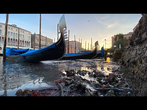 Видео: В Венеции пересохли каналы. Что рабочие обнаружили под водой?