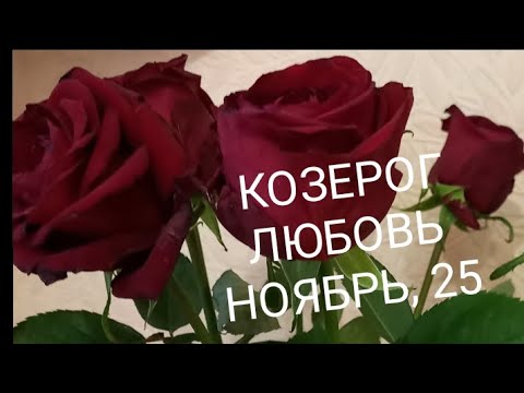 Видео: КОЗЕРОГ ЛЮБОВЬ НОЯБРЬ 2025 года