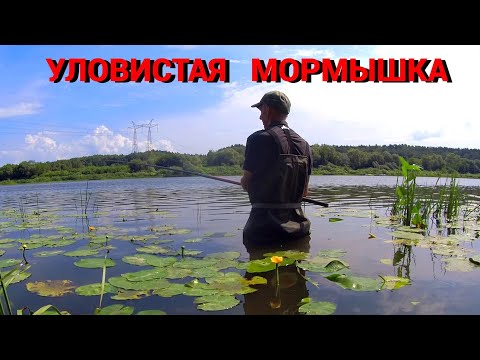 Видео: ЖИРНАЯ ПЛОТВА на ЛЕТНЮЮ МОРМЫШКУ. Рыбалка на любимую снасть на Оке.
