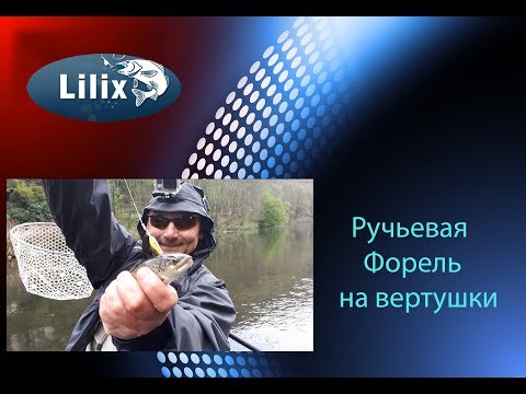 Видео: Ручьевая Форель на вертушки (Рыбалка в Германии)