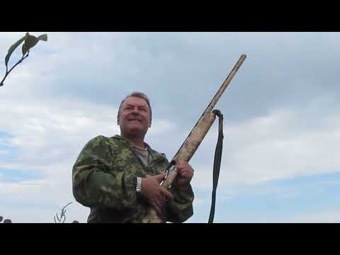 Видео: на вяхиря с коллиматором 2024