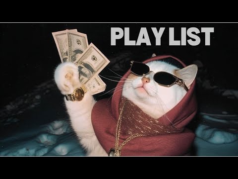 Видео: Плейлист | 🎧 Поп-музыка для спокойного утра в одиночестве 🌙 | Чилл вайб · Без рекламы · Для фокуса