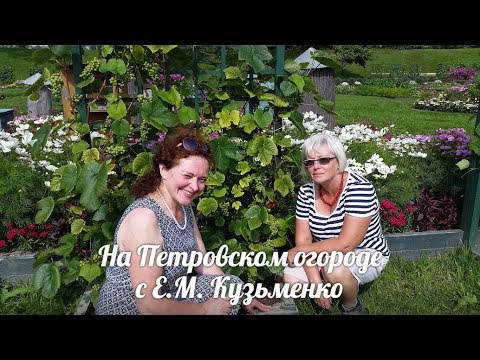 Видео: На Петровском огороде с Е.М.Кузьменко