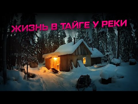 Видео: Жизнь в тайге у реки в избушке в -40! Зимняя рыбалка! #жизньвлесу