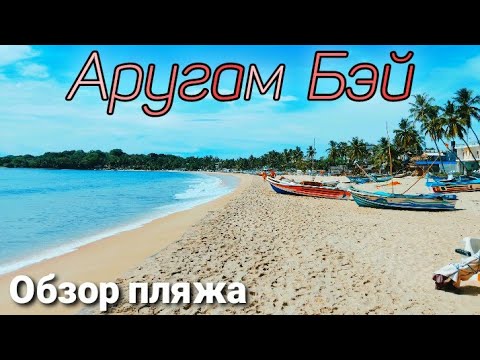 Видео: Аругам Бэй. Обзор всего пляжа. Шри-Ланка 2023