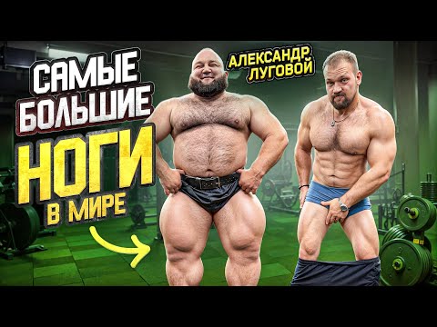Видео: САМЫЕ БОЛЬШИЕ НОГИ В МИРЕ! СИЛОВЫЕ АЛЕКСАНДРА ЛУГОВОГО!