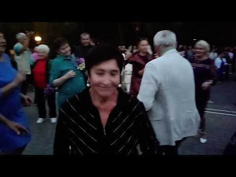 Видео: Седая ночь...... 14.09.25 Гомель парк Луначарского 🥰💫