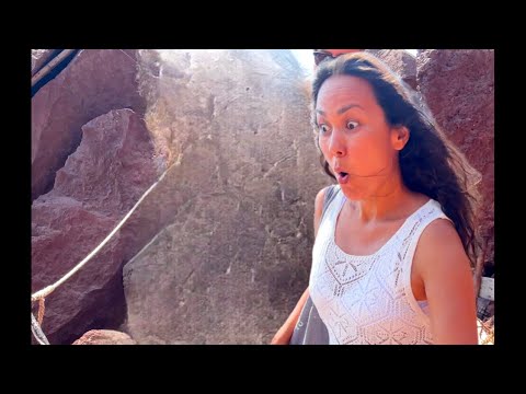 Видео: Uzbechka  Puma Nargiza 🐆 в прямом эфире!
