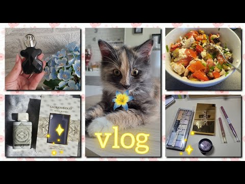 Видео: VLOG: 🍀пара рецептов, Микуська🐱,новые парфюмки, мою кисти, нашла идеальный карандаш, болтаем....