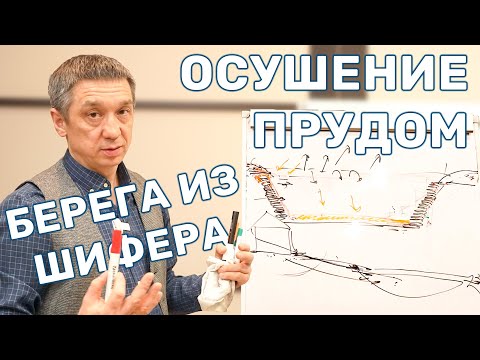 Видео: Пруд в низине участка и укрепление берегов. Как можно сделать?