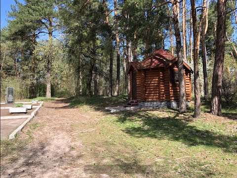 Видео: 302. Чернігів.Урочище "Святе" 19.04.2025