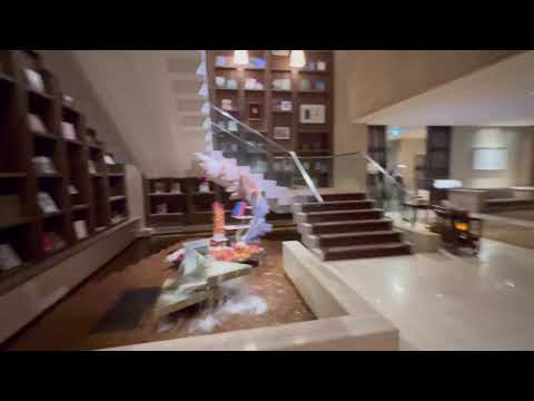 Видео: Токио: на что это похоже?