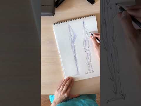 Видео: 1 урок. Каллиграфия виньясы. Аштанга йога.