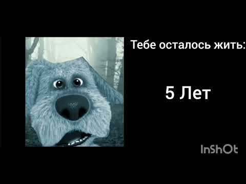 Видео: Тебе осталось жить: ([{Грустные лица Бена}]) Идеи придумывайте)