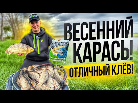 Видео: КАК НАЛОВИТЬ МНОГО КАРАСЯ ВЕСНОЙ ?!