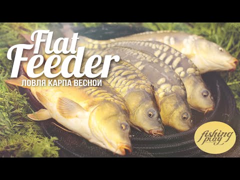 Видео: Ловля карпа на флэт фидер весной | Рыбалка 2021