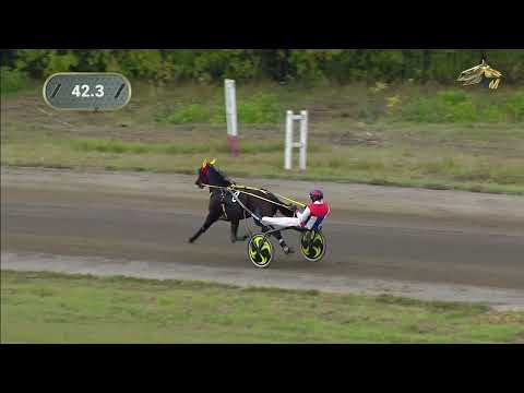 Видео: 7-й Заезд. ПРИЗ Золотая Колесница. Новосибирский ипподром. 17.09.2022