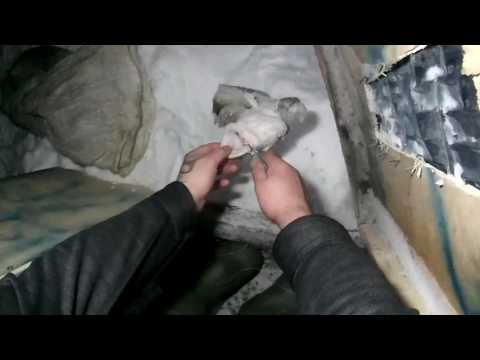 Видео: Рыбалка Налим на зимнюю удочку,налим на стук.