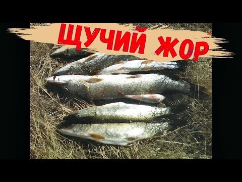 Видео: Щука на спиннинг.Июль жара.