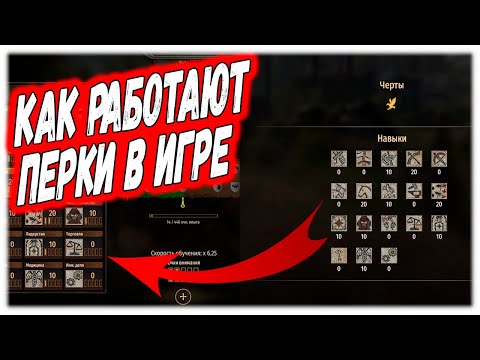 Видео: НОВЫЙ ГАЙД ПРОКАЧКА ПЕРКОВ В Mount & Blade 2: Bannerlord