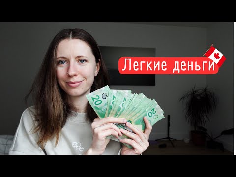 Видео: Как заработать на выгуле собак