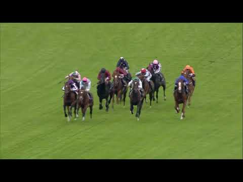 Видео: Лучшая победа Франкеля? Скачки Queen Anne Stakes 2012 года на Royal Ascot!