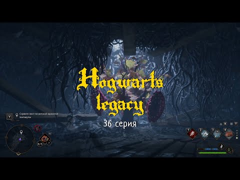 Видео: Hogwarts legacy. #36 Ядовитая отвага