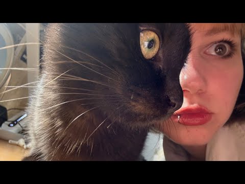 Видео: lofi asmr 100% мурашечно достаем тебя пока ты не уснешь | таппинг, звуки рта, кот мурлыка