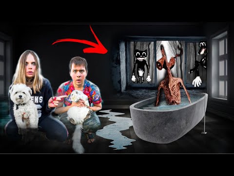 Видео: СИРЕНОГОЛОВЫЙ В РЕАЛЬНОЙ ЖИЗНИ С КОТОМ И СОБАКОЙ ПРЕСЛЕДУЕТ НАС