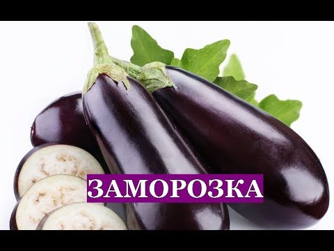 Видео: Заморозка БАКЛАЖАНОВ на зиму. Три проверенных способа!!!