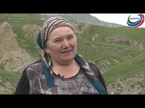 Видео: «Аьрщи ва агьлу»