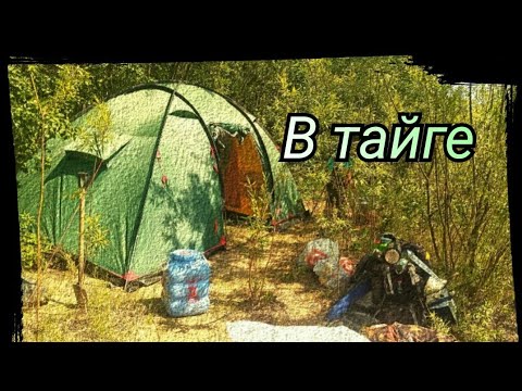 Видео: р. Демьянка Пытаемся рыбачить. Работа. Сезон 2023 серия 5.