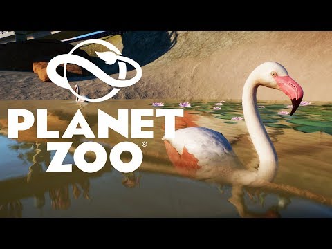 Видео: ФЛАМИНГО #13 PLANET ZOO ПРОХОЖДЕНИЕ