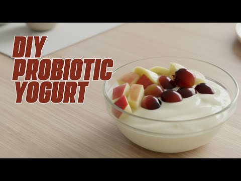 Видео: Как приготовить пробиотический йогурт для здоровья кишечника