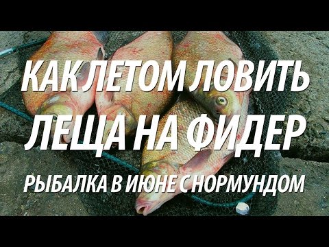 Видео: ЛЕТНЯЯ ФИДЕРНАЯ ЛОВЛЯ ЛЕЩА. РЫБАЛКА В ИЮНЕ НА ФИДЕР С НОРМУНДОМ ГРАБОВСКИСОМ