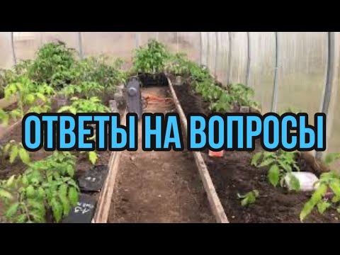 Видео: При какой температуре высаживаю Томаты. Температура грунта. размер грядок