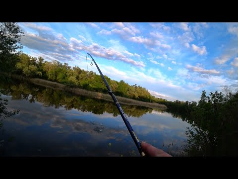 Видео: РЫБАЛКА НА РУСЛЕ РЕКИ. ПОИСК ХИЩНИКА.