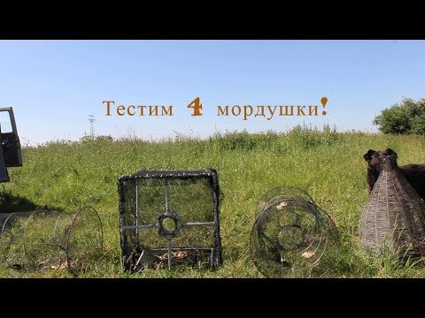 Видео: Тестим 4 мордушки!