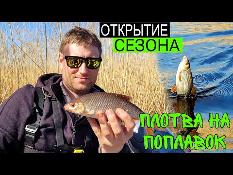 Видео: Крупная ПЛОТВА на поплавок//Открываем сезон на Ладоге//Ладожская ПЛОТВА//#teamправильнаяподсечка