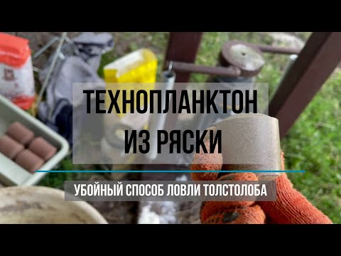 Видео: Убойный способ ловли толстолобика на ряску. Простой уловистый рецепт технопланктона.