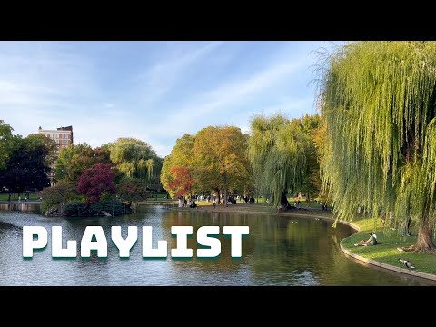 Видео: Плейлист | Реальные съемки в Boston Public Garden | 3 часа музыки для кафе, работы, учебы и отдыха