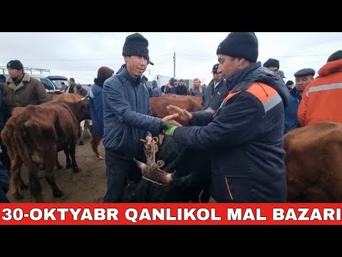 Видео: 30-ОКТЯБРЬ/КАНЛЫКОЛ МАЛ БАЗАРЫ/СКОТНЫЙ РЫНОК/BUQALAR/BIG BULLS IN THE WORLD/BIG COW