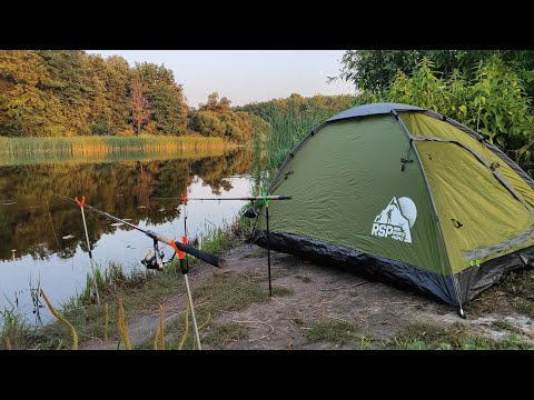 Видео: ЛОВЛЯ НА ФИДЕР С НОЧЁВКОЙ на красивой речке. Рыбалка на леща 24 часа