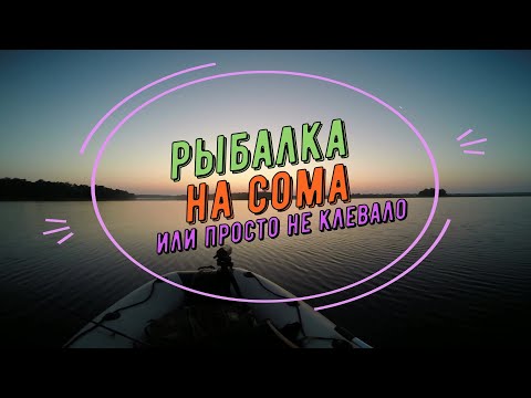 Видео: Рыбалка на сома, или как не клюет сом. Устье реки Унжа! Костромская область, Макарьевский район.
