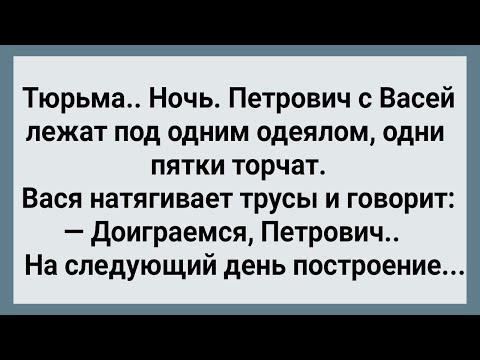 Видео: Как Петрович в Тюрьме Доигрался! Сборник Свежих Анекдотов! Юмор!