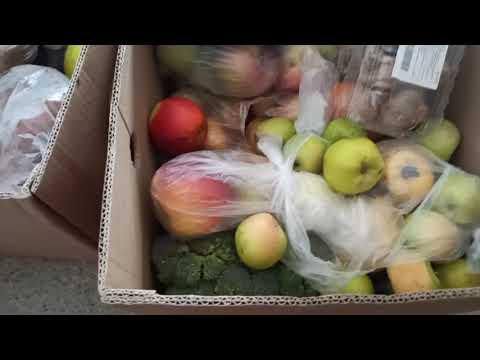 Видео: Вторая ходка. #Мусорная еда. Фрига из Москвы. Мусорная жизнь. Фрукты со свалки. #Москва