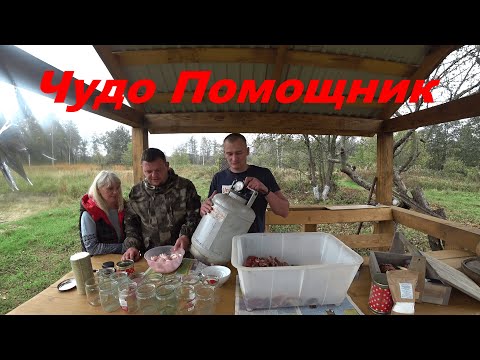 Видео: КУПИЛ ХУТОР в ЛЕСУ на краю БОЛОТА. Часть 72. КАК ПРИГОТОВИТЬ ДОМАШНЮЮ ТУШЕНКУ. Жизнь в лесу.