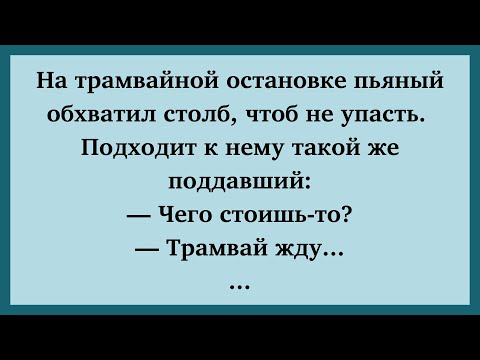Видео: На трамвайной остановке пьяный  🔥 | Новые анекдоты | Анекдоты дня | Смешные анекдоты