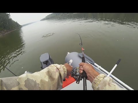 Видео: ВОТ ЭТО ПОКЛЕВКА! Полная адреналина рыбалка на спиннинг! | Рыбалка с Fishingsib